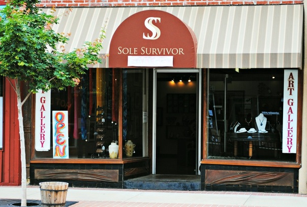 Sole Survivor Art Gallery by Mary C. Nasser